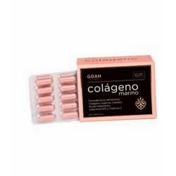 PILEXIL ANTICAIDA FORTE 100 CAPSULAS