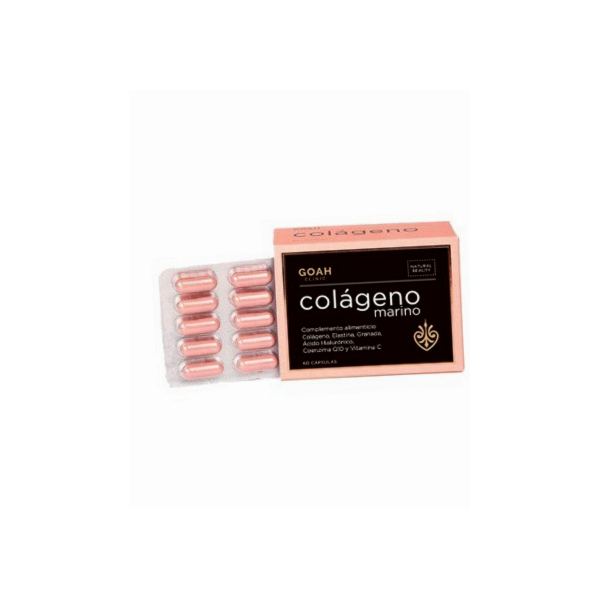 PILEXIL ANTICAIDA FORTE 100 CAPSULAS